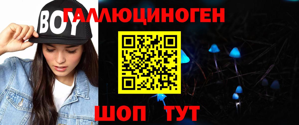 Курчатов  Псилоцибиновые грибы Magic Shrooms  Вход с VPN 