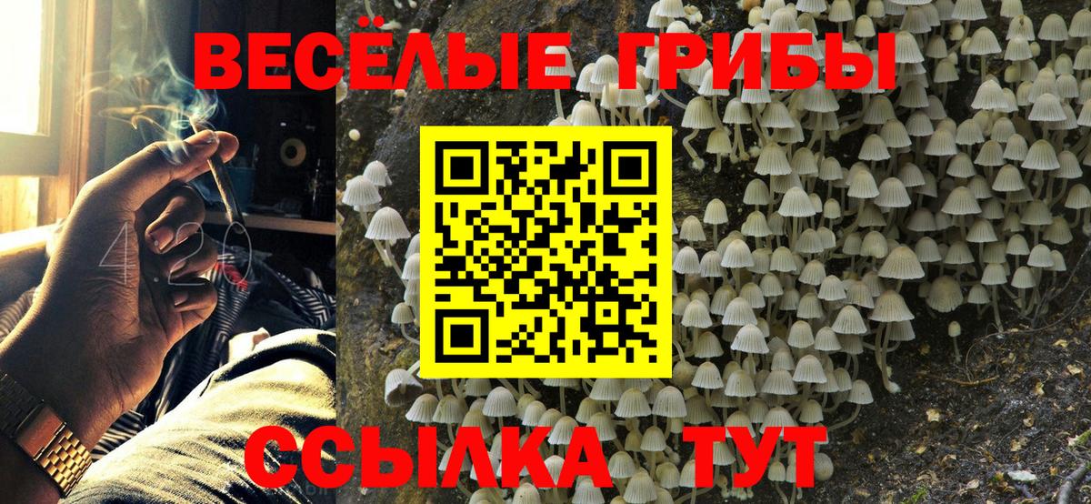 Бошки Шишки  Курчатов  Вход с VPN  COCAIN  Экстази  Мефедрон кристаллы  ГАШ 